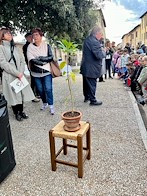 Giornata Nazionale degli Alberi